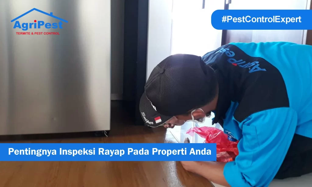 Inspeksi Rayap pada Properti